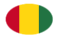 flag Guinea