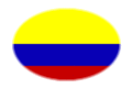 Flagge Kolumbien