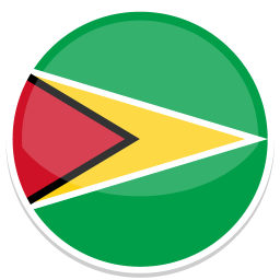 Flag von Guyana mit rotem, gelbem und grünem Design auf rundem Hintergrund.